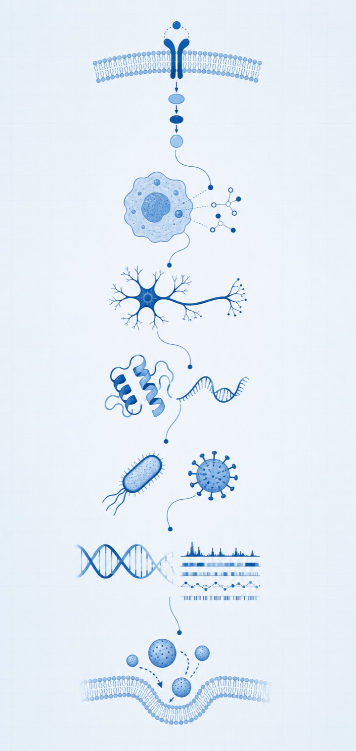 Ilustración científica de las líneas de investigación del programa