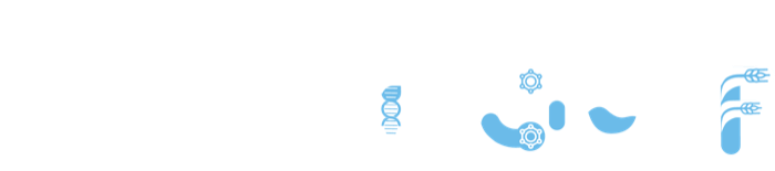 Facultad de Ciencias Químicas y Farmacéuticas, Universidad de Chile